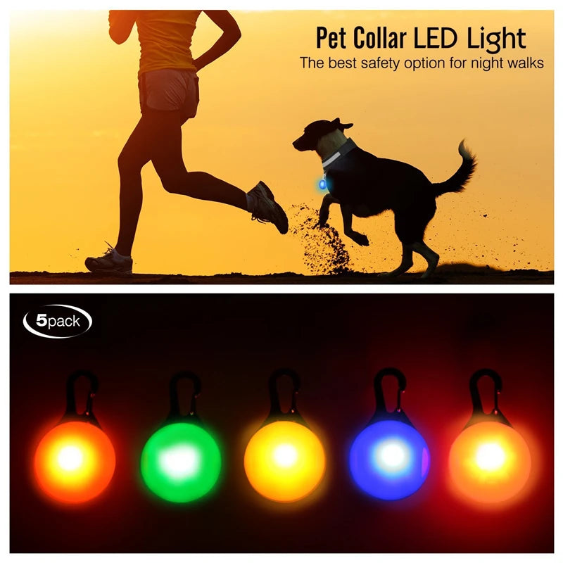 USB Rechargeable LED Dog Collar – Glowing Light-Up Safety Collar with Pendant for Small Dogs & Cats