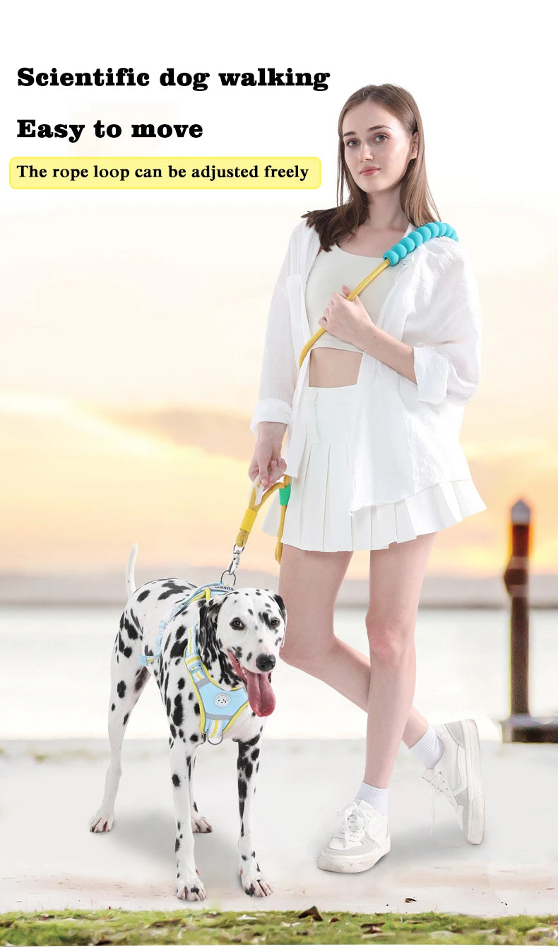 Cotton Candy P-Chain Dog Leash – Anti-Slip, Wear-Resistant Traction Rope