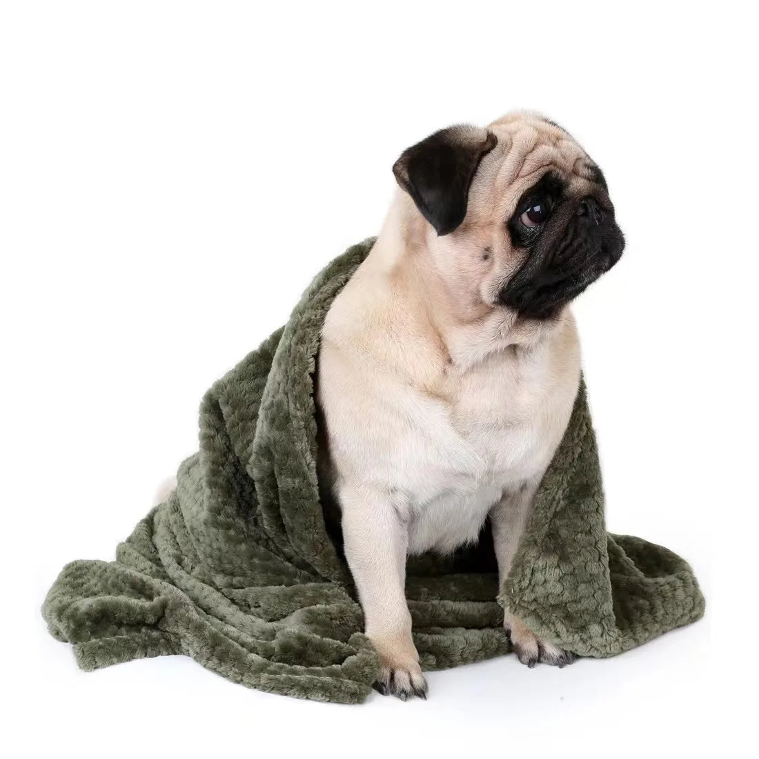 Soft Pet Blanket – Spring & Warm Dog Bed Blanket | Cozy Pet Sheets & Mat for Cats and Dogs