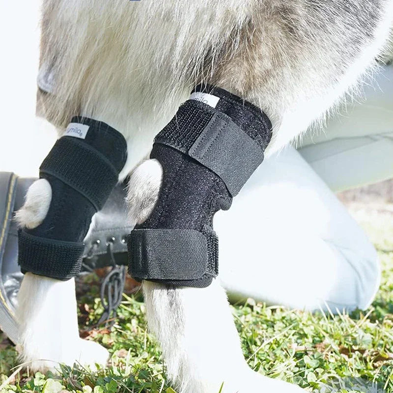 Dog Leg Support Brace – Arthritis Recovery & Injury Protector for Hock Joint