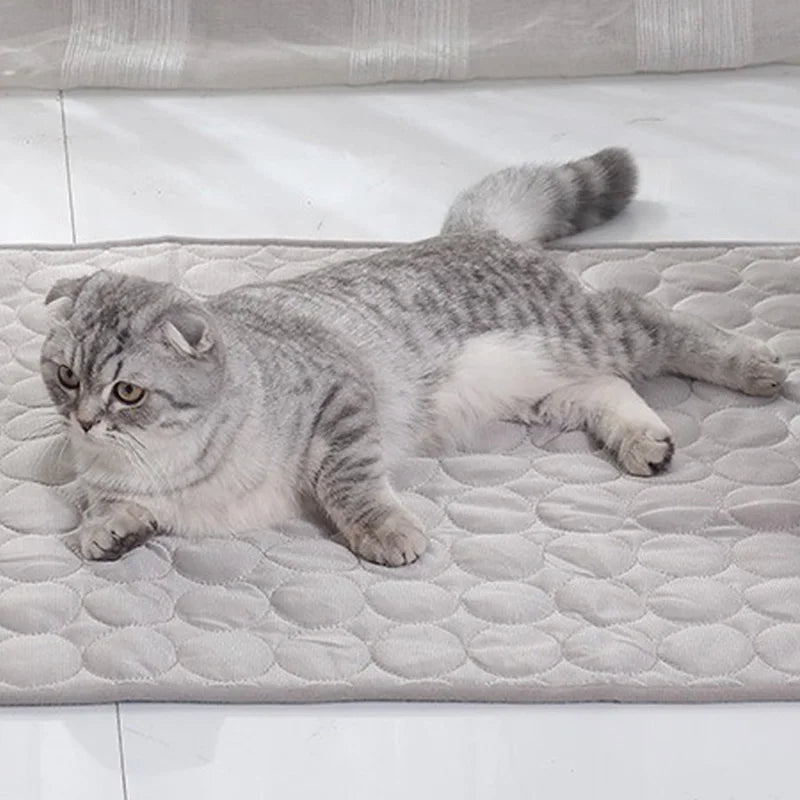 Pet Dog Cooling Bed Mat – Extra Large Iced Summer Rug for Dogs & Cats, Washable and Durable