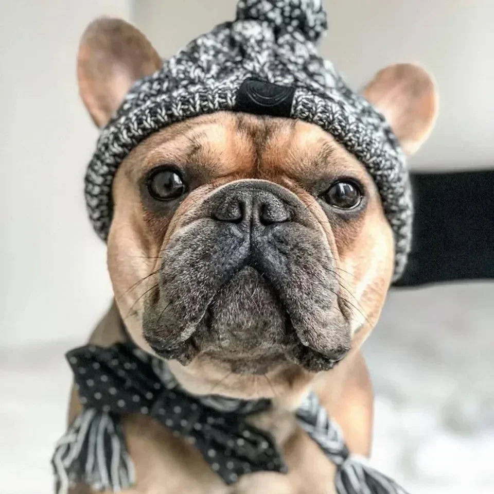 Winter Knitted Pet Hat – Warm Woolen Cap with Fur Ball for Cats & Dogs