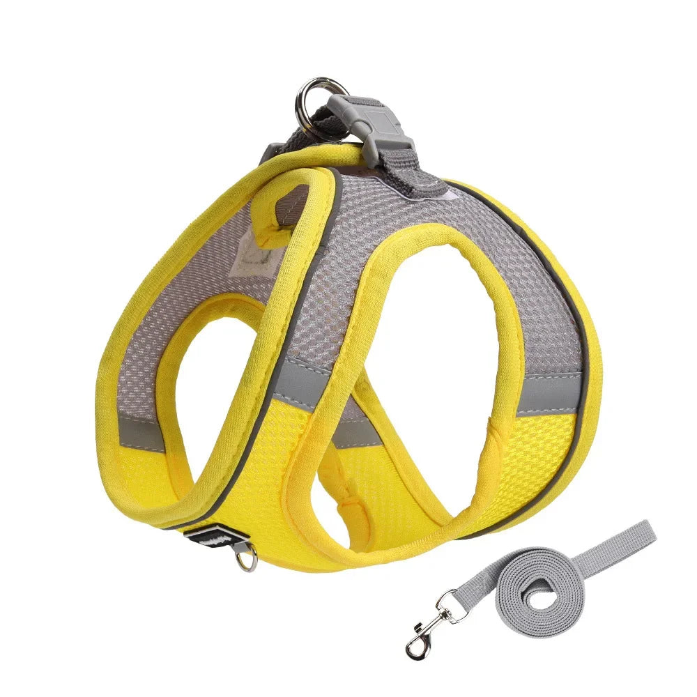 Small Dog Harness & Leash Set – Adjustable Soft Vest for Puppies, Cats & Toy Breeds (No-Choke, Outdoor Walking)