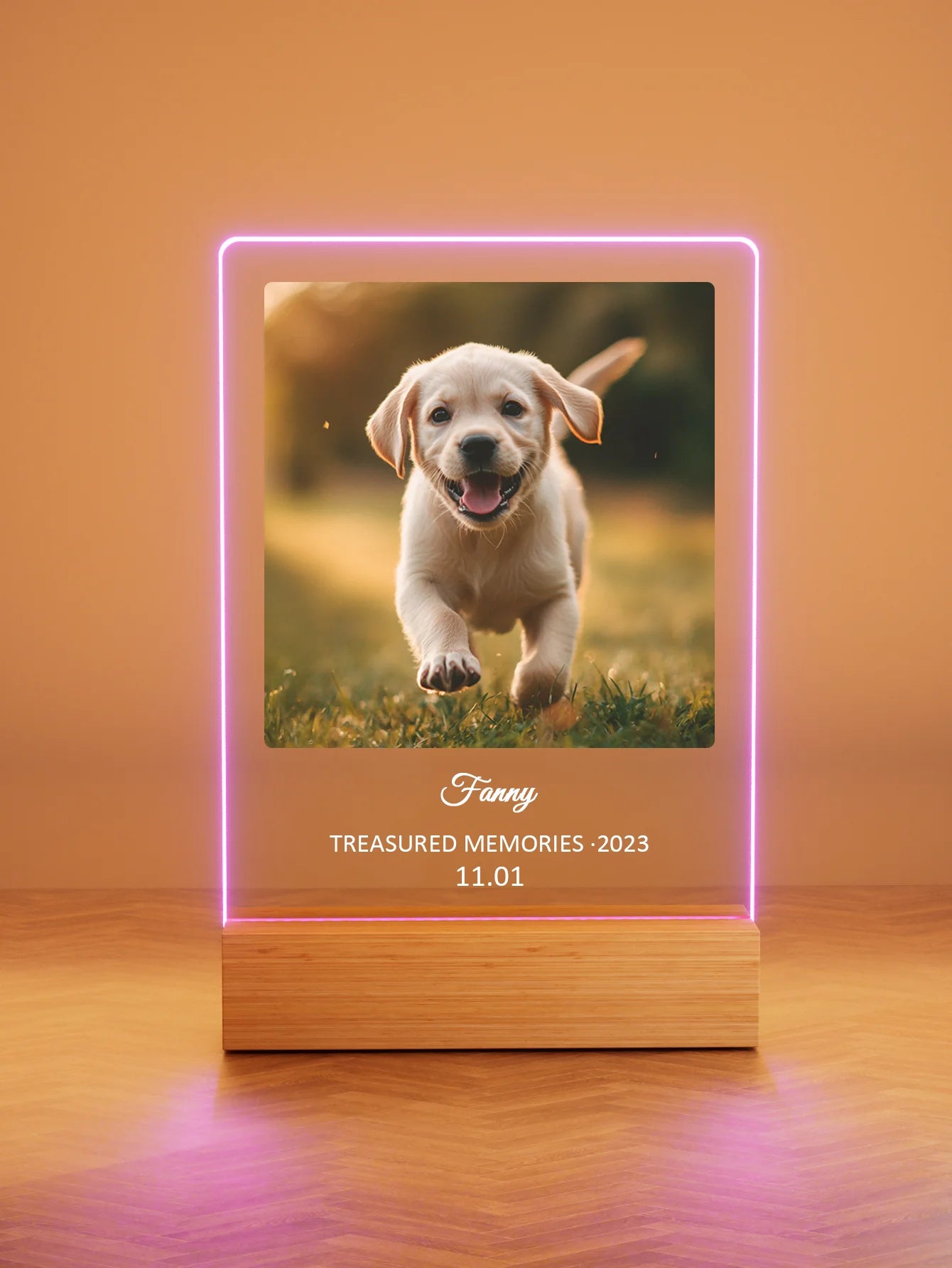 Custom Pet Memorial Nightlight – Personalized Pet Photo & Name Keepsake