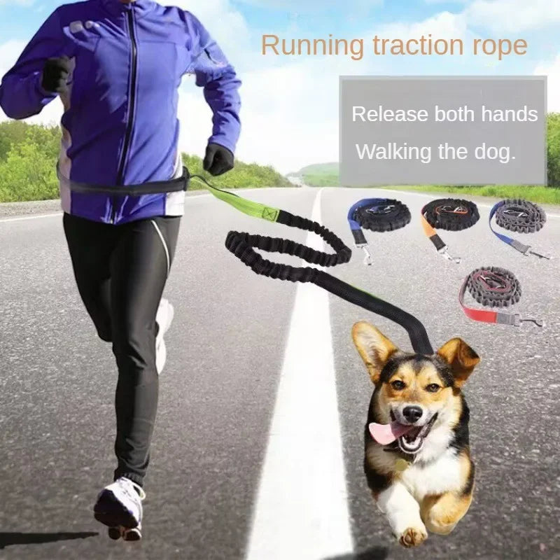 Hands-Free Dog Leash with Waist Belt – Adjustable for Walking, Running & Jogging