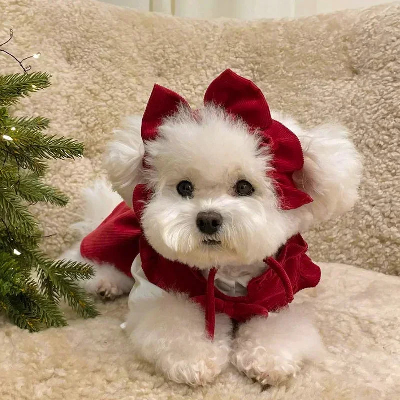 Winter Puppy Princess Dress – Warm Bow Knot Dog Dress Set with Hair Clip