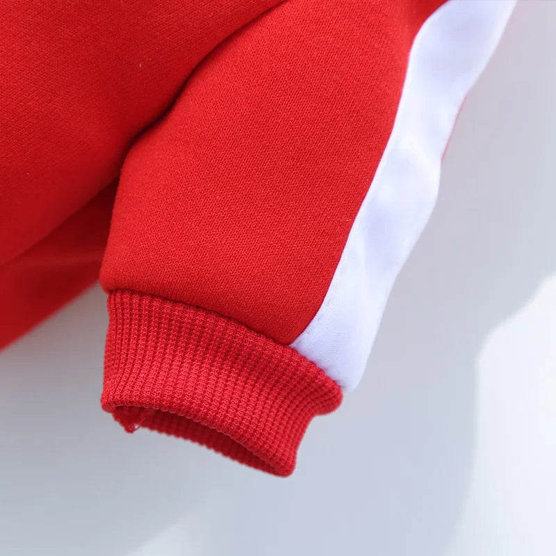 Baseball Dog Jacket – Winter Coat for Small & Medium Dogs
