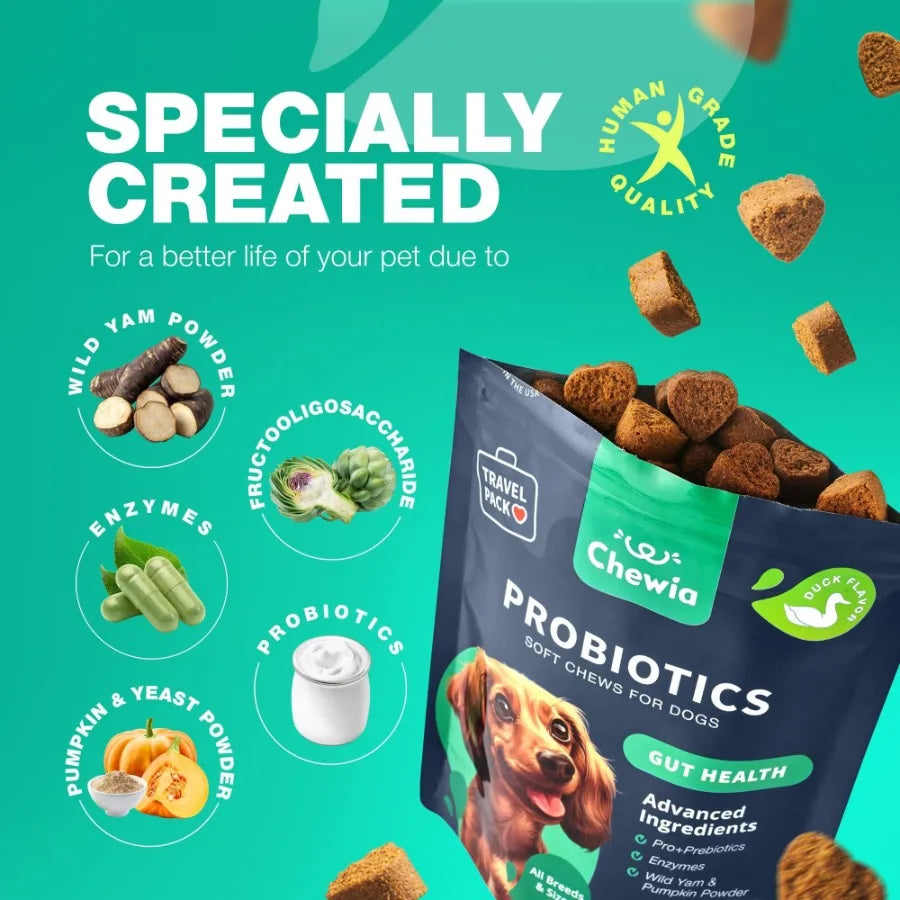 Probiotics for Dogs – Digestive Enzymes & Gut Health Support | Boosts Immunity, Reduces Itchy Skin, Yeast & Allergies | Anti-Coprophagia Formula