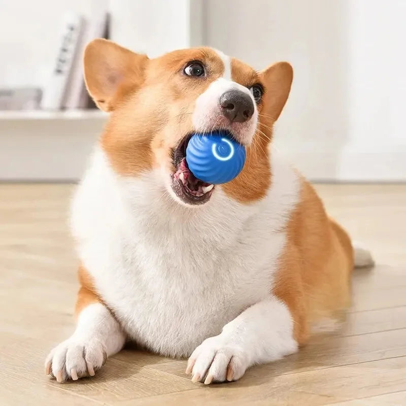 Smart Electronic Dog Toy Ball – USB Rechargeable Interactive Moving Ball for Pets