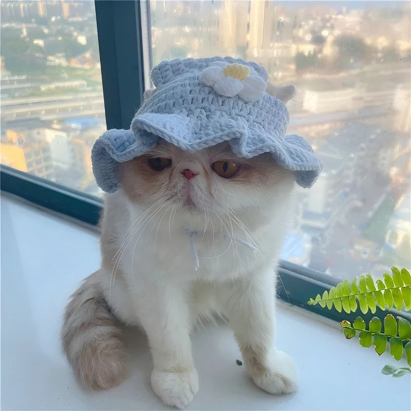 Handmade Knitted Pet Hat – Cute Party Cap for Cats, Kittens & Small Dogs