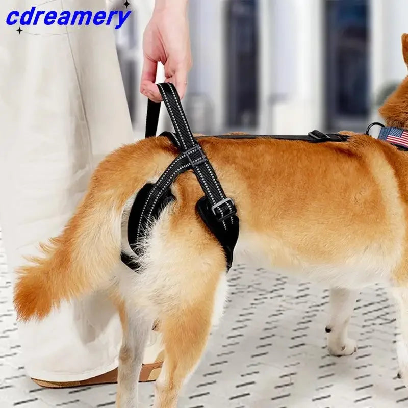 CDY Dog Lift Harness – Reflective Adjustable Back Leg Support Sling