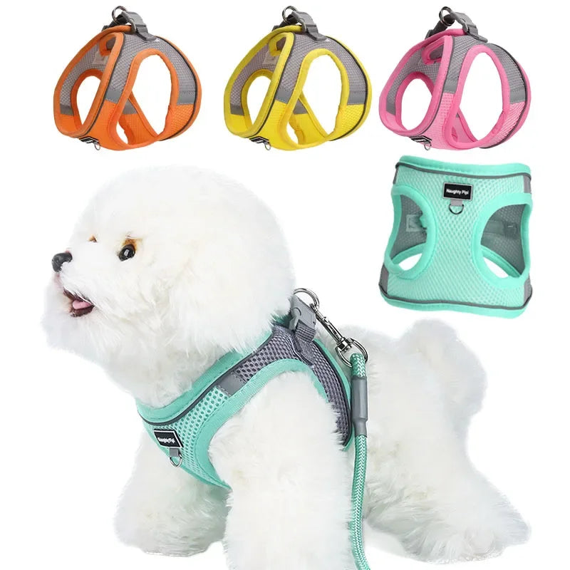 Small Dog Harness & Leash Set – Adjustable Soft Vest for Puppies, Cats & Toy Breeds (No-Choke, Outdoor Walking)