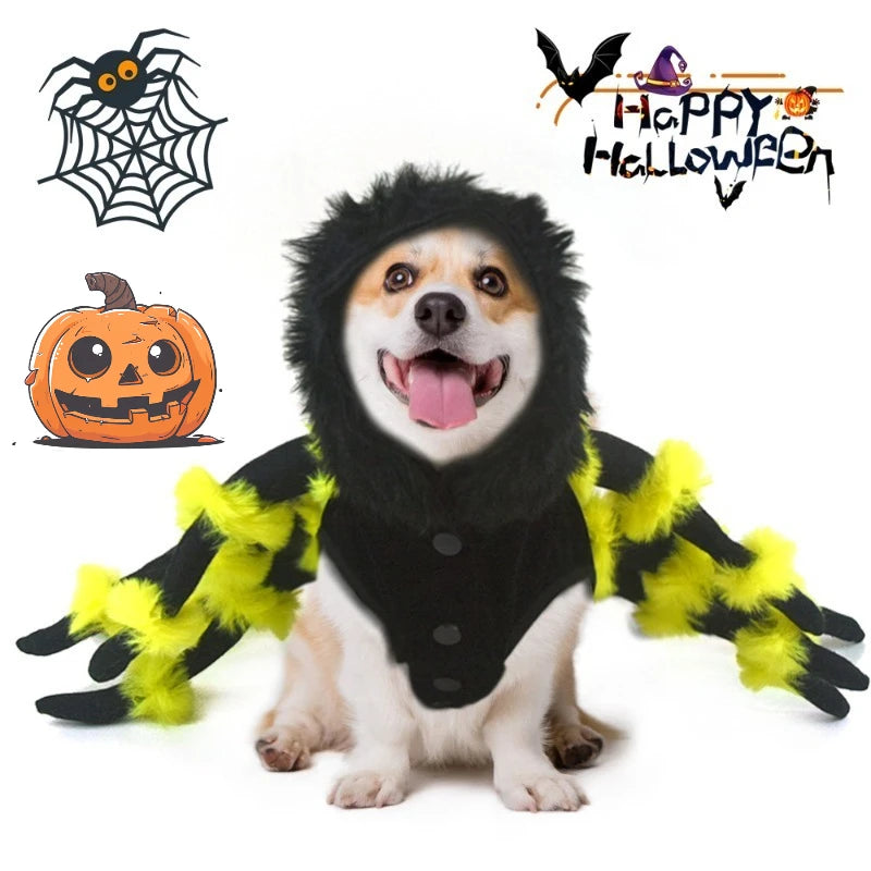 Spider Pet Costume – Funny Halloween Outfit for Dogs & Cats