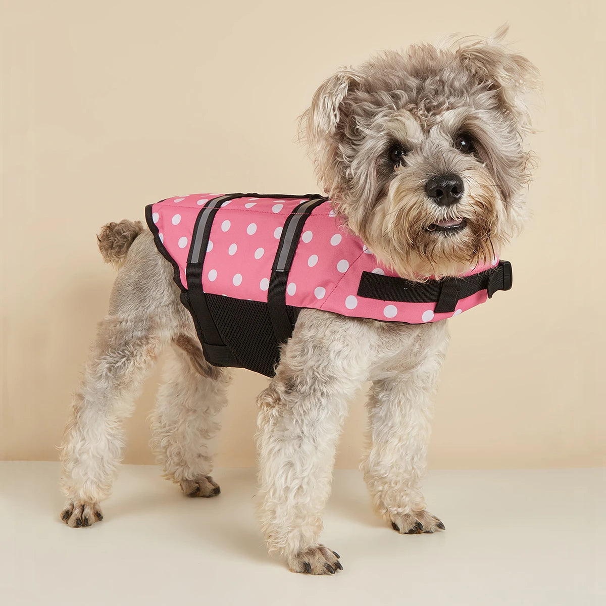 Reflective Dog Life Jacket – Adjustable Safety Swim Vest with Enhanced Buoyancy for Medium & Large Dogs
