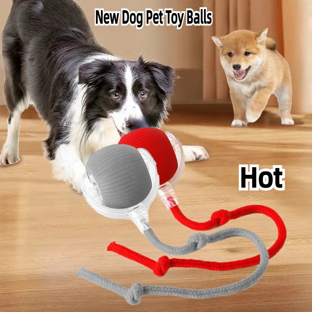 Rechargeable Smart Rolling Ball Toy – Automatic Interactive Electric Toy for Cats & Small Dogs with Simulated Tail