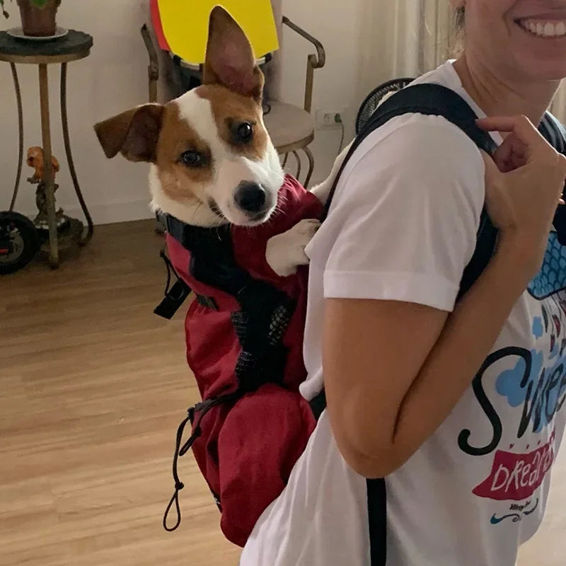 Dog Carrier Backpack – Strong Nylon Travel Bag for Small & Medium Dogs
