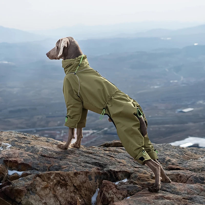 Four-Leg Waterproof Dog Jacket – Windproof Reflective Winter Suit with High Neck