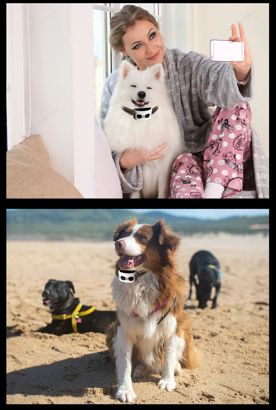 2-in-1 Wireless Dog Fence & Training Collar – Rechargeable Anti-Runaway System for Up to 3 Dogs