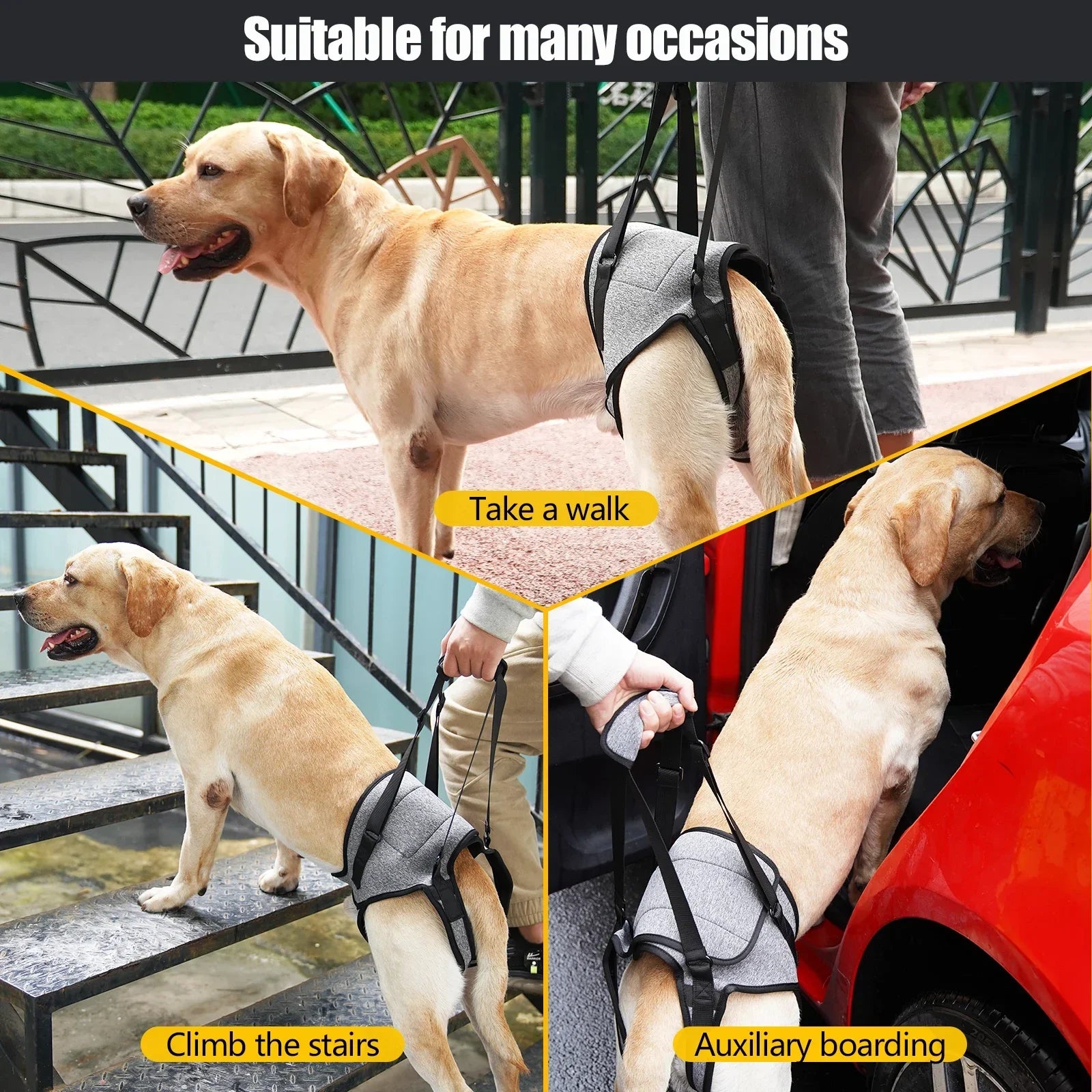 Adjustable Dog Lift Harness – Soft Padded Rear Leg Support for Senior, Injured & Disabled Large Dogs