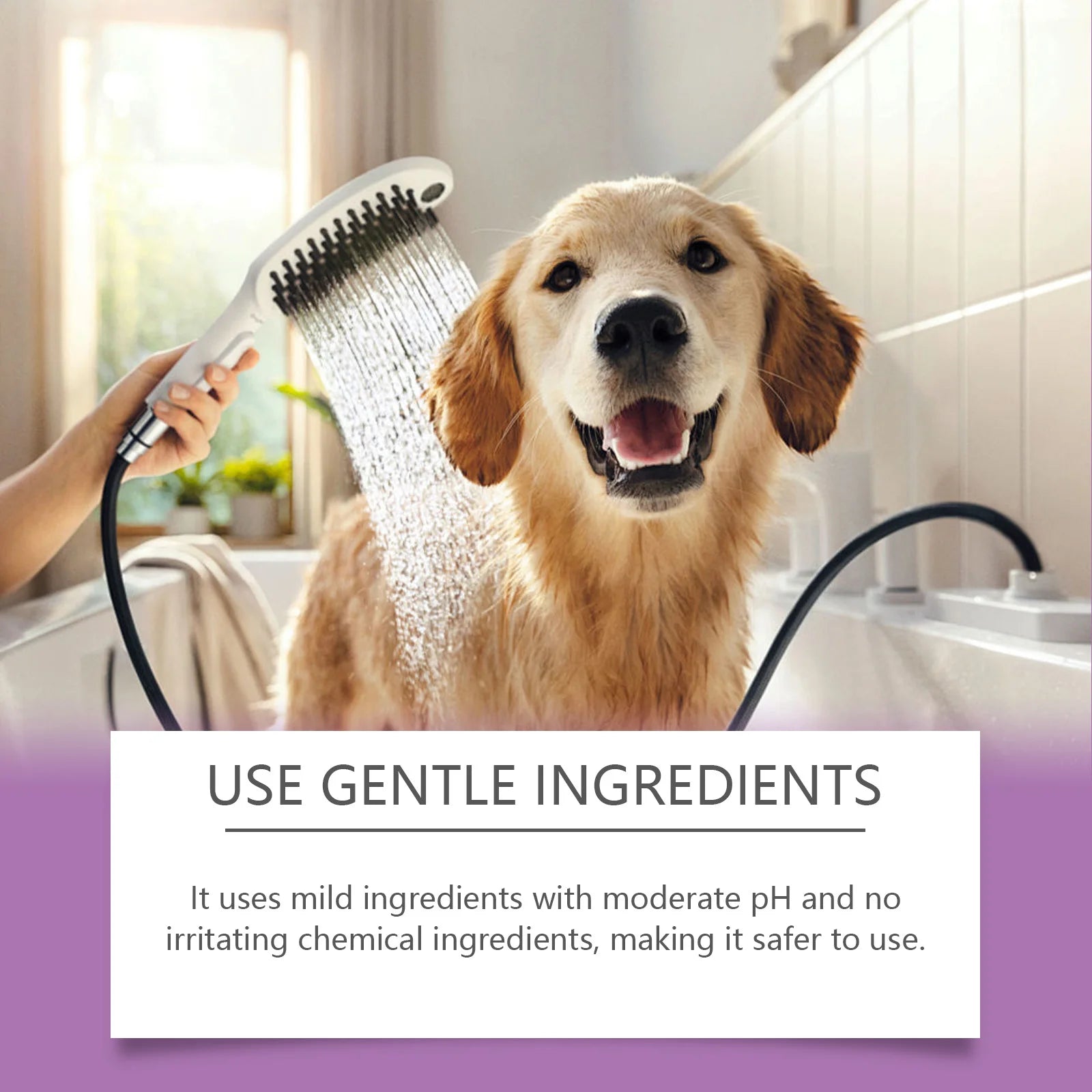 Yegbong Pet Lavender Shampoo – Gentle Cleansing Dog & Cat Shampoo for Soft, Smooth, Fluffy Fur