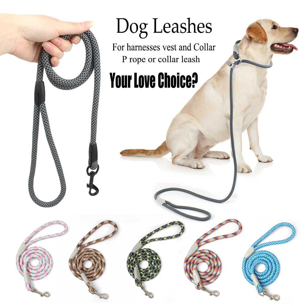 2-in-1 Classic Dog Collar and Leash Set – Adjustable Black Mesh P Rope Nylon Training Harness with Slip Strap