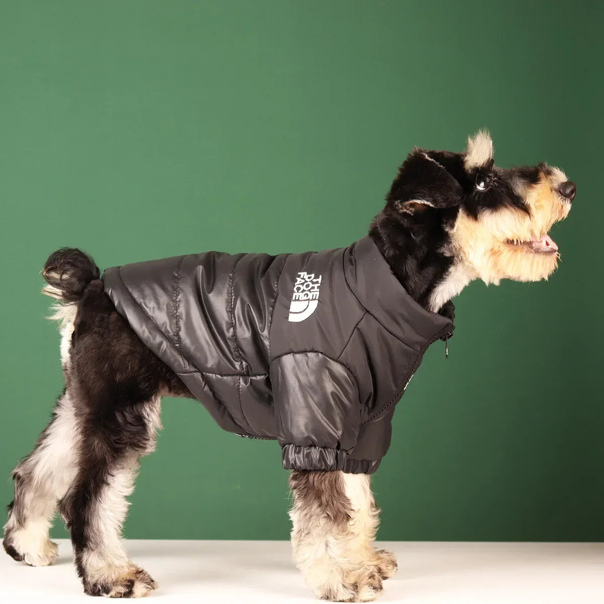 Winter Warm Dog Jacket – Reflective Windproof Coat for French Bulldog & Small Dogs