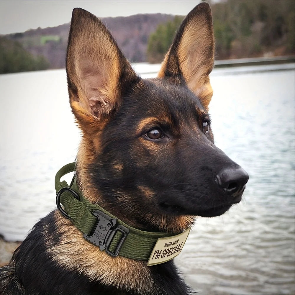 Tactical Dog Collar with Handle – Military Training Collar for Medium & Large Dogs