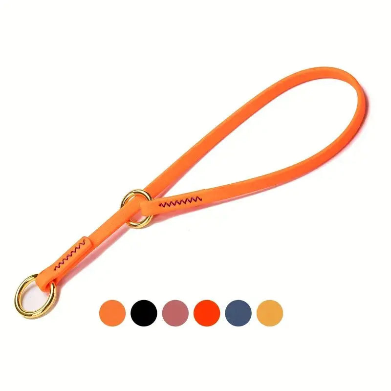 Waterproof P Chain Dog Collar – Easy-Clean Training Collar for Small & Medium Dogs