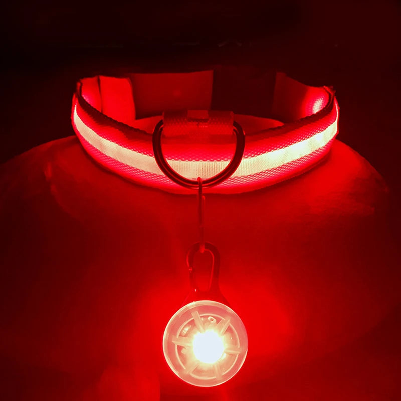 USB Rechargeable LED Dog Collar – Glowing Light-Up Safety Collar with Pendant for Small Dogs & Cats
