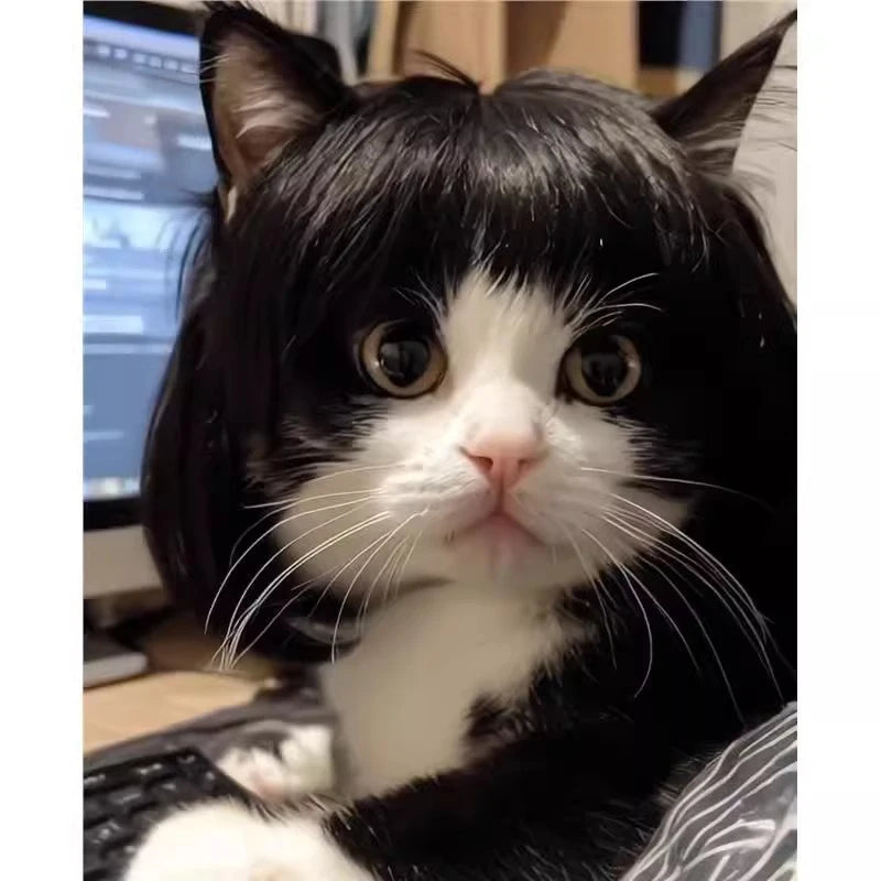 Funny Cat Wig – Lightweight Trimmable Pet Wig Accessory for Cats & Small Pets