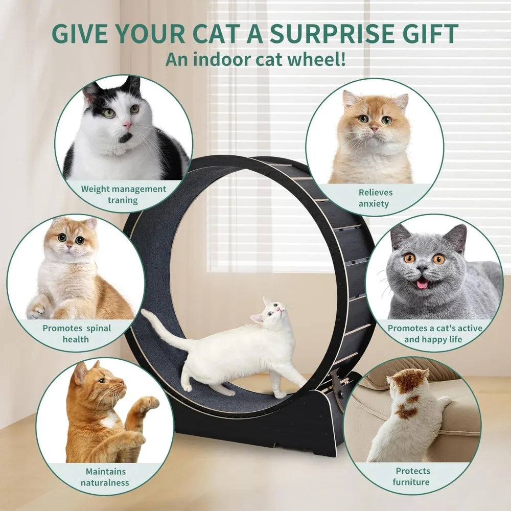 Large Cat Exercise Wheel – 40" Indoor Running Treadmill for Cats