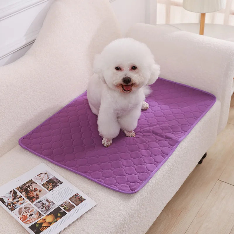 Reusable Dog Pee Pad Blanket – Absorbent Washable Training Pad & Bed Protector for Pets