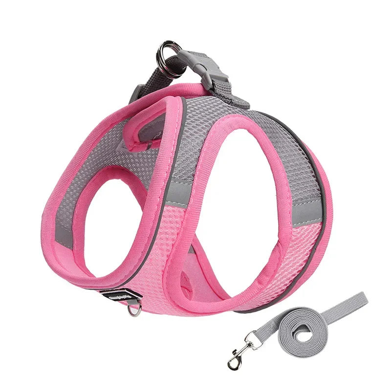 Small Dog Harness & Leash Set – Adjustable Soft Vest for Puppies, Cats & Toy Breeds (No-Choke, Outdoor Walking)