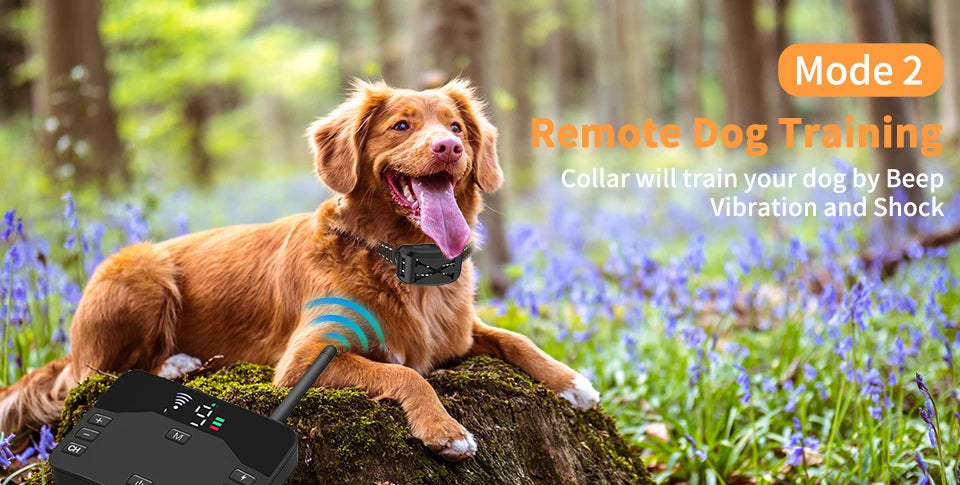 2-in-1 Wireless Dog Fence & Training Collar – Rechargeable Remote with Beep, Vibration & Shock Modes