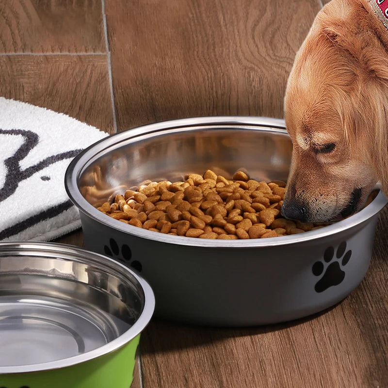 Non-Slip Stainless Steel Pet Bowl – Feeding & Water Dish for Small Dogs & Cats