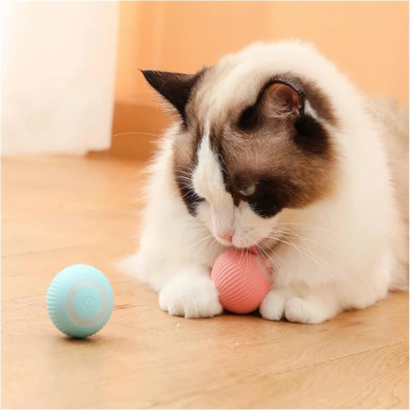 Smart Interactive Cat Toy Ball – USB Rechargeable Rolling Teaser