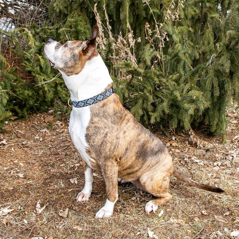 Fashionable Diamond Print Dog Collar – Adjustable, Durable Polyester with Metal D-Ring for Large Dogs