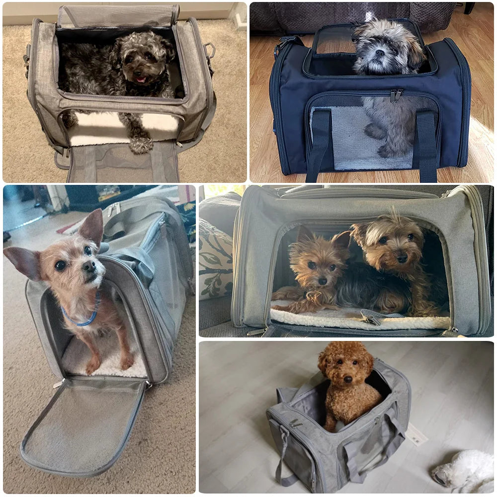 Dog Carrier Backpack – Soft-Sided Airline Approved Travel Bag for Small Pets