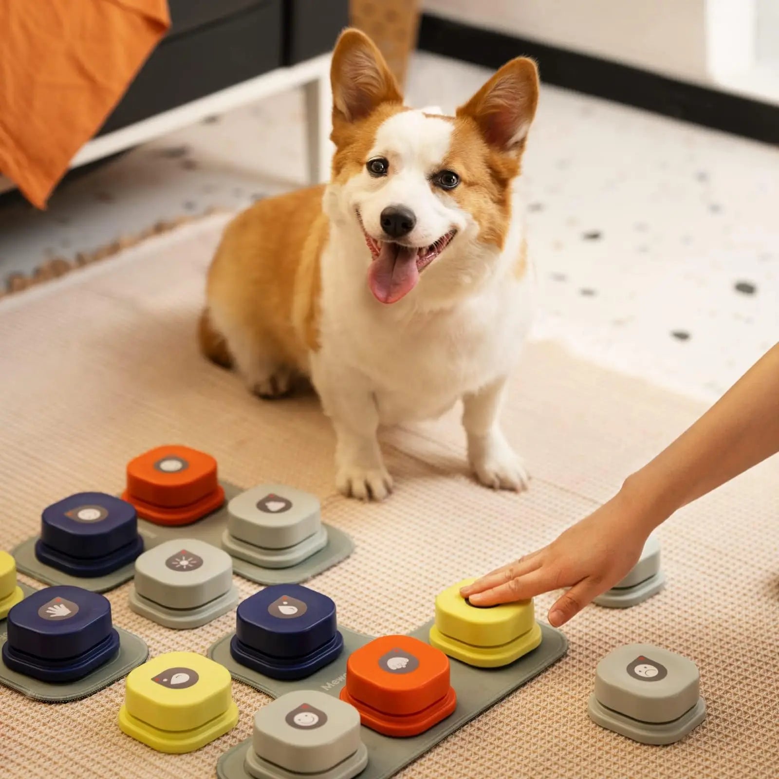MEWOOFUN Dog Button Record – Interactive Talking Pet Communication Toy with Pad & Stickers