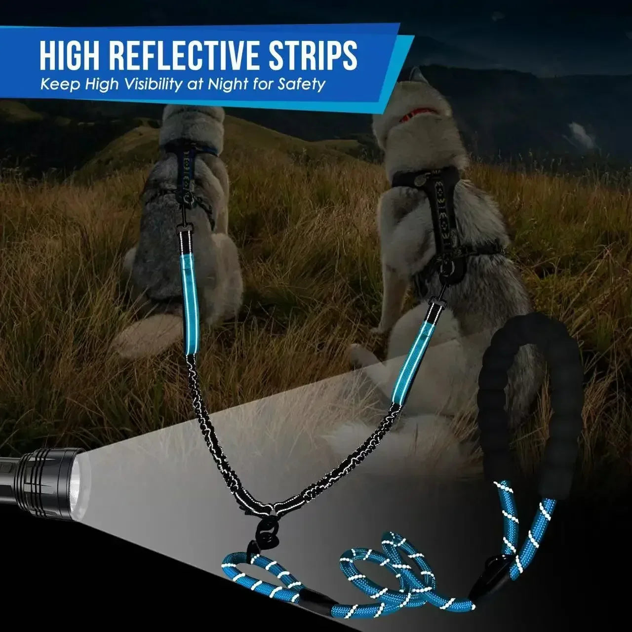 Reflective Double Dog Leash – 360° No-Tangle Dual Walking Leash with Two Traffic Handles & Shock Absorption
