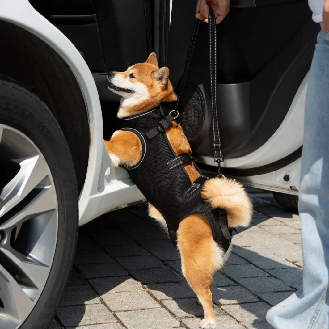 Adjustable Dog Lift Harness – Pet Support & Rehabilitation Sling for Injured Dogs