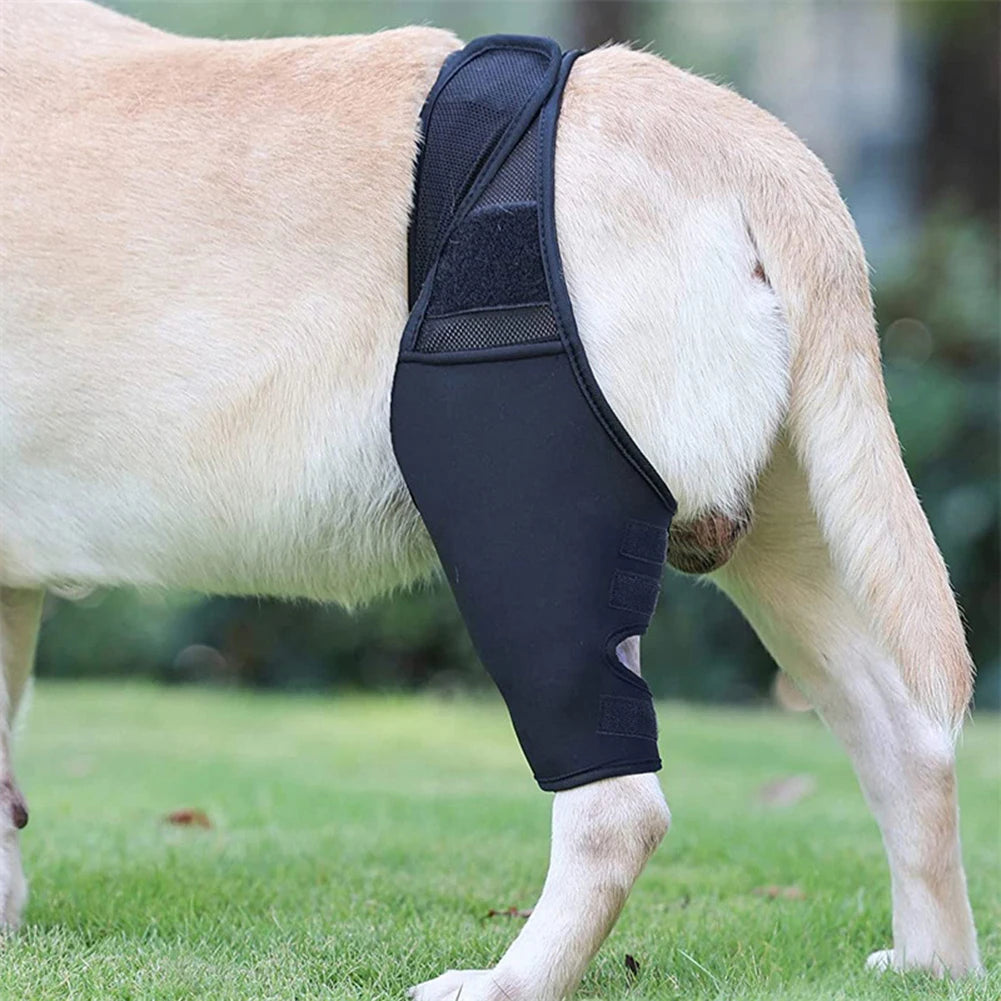 Universal Dog Hip & Knee Brace – Breathable, Elastic Leg Support for Pets