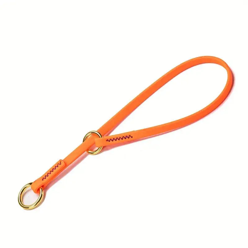 Waterproof P Chain Dog Collar – Easy-Clean Training Collar for Small & Medium Dogs