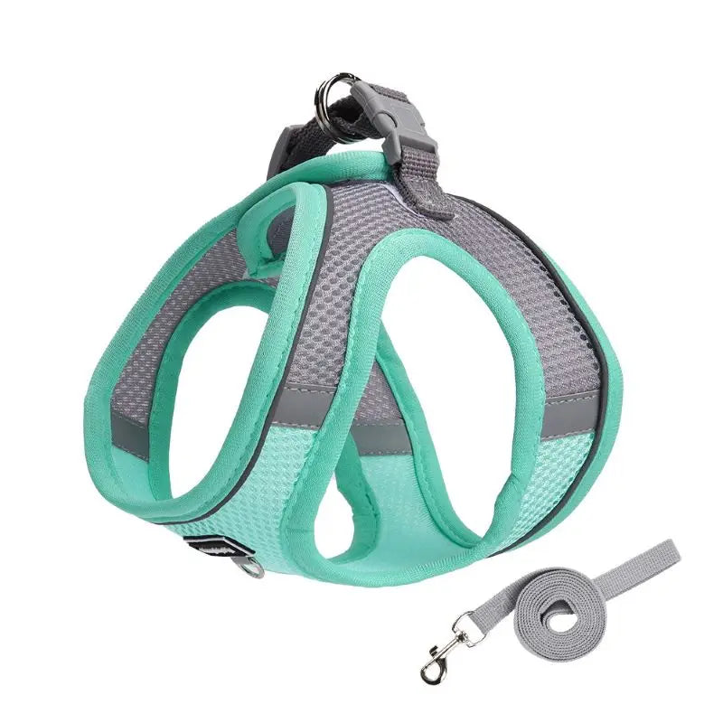 Adjustable Dog Harness & Leash Set for Small Dogs – Comfortable & Safe Walking Gear