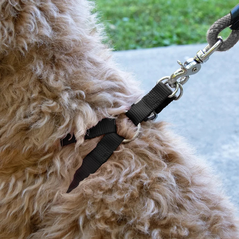 2-Pack Adjustable Step-In Dog Harness – Black, Medium Size with D-Ring Leash Clip, Comfortable Fit & Sturdy Buckle