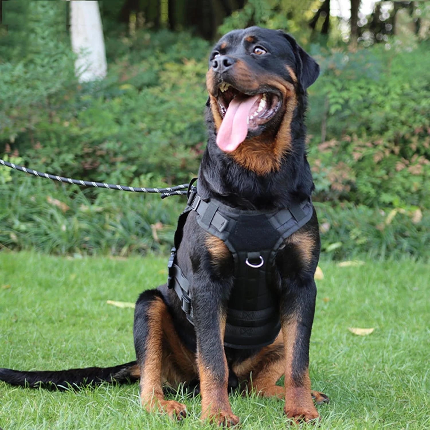 Durable Green Nylon Dog Harness – Medium Size with Heavy-Duty Rubber Handle for Comfort & Control