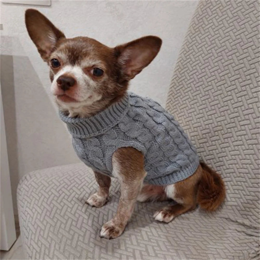 Classic Solid Dog Sweater – Winter Pullover for Small Dogs