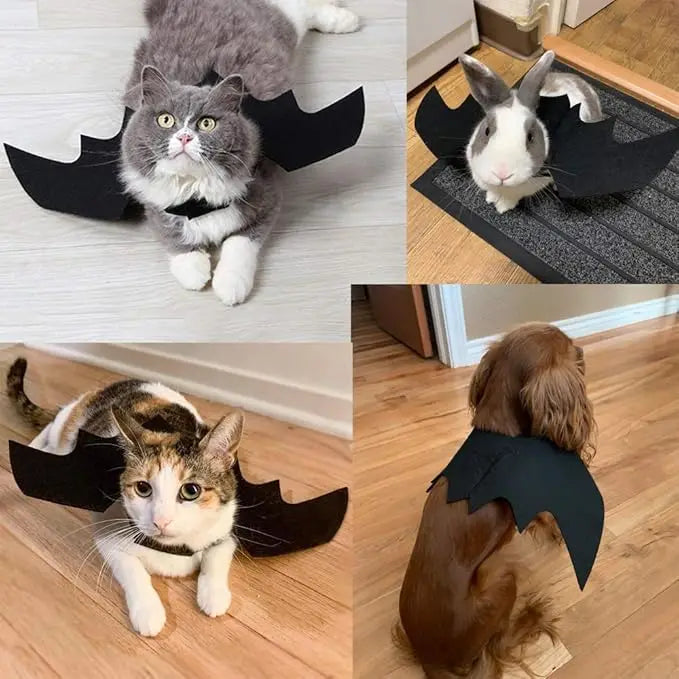 Cat Halloween Costume – Bat Wings, Hat & Necklace Set for Cats & Small Dogs