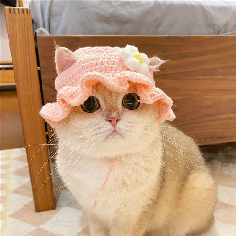 Knitted Cat Hat – Autumn Winter Pet Hat for Cats, Kittens & Small Dogs
