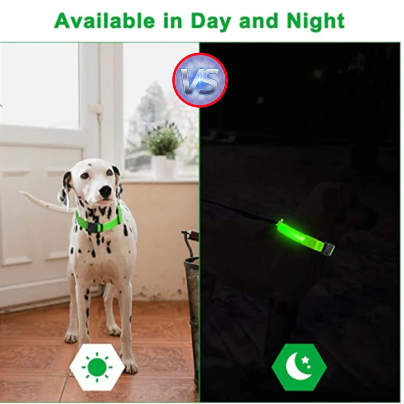 USB Rechargeable LED Dog Collar – Glowing Light-Up Safety Collar with Pendant for Small Dogs & Cats
